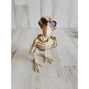 Greenbrier skeleton mini bird crow Halloween prop decor
