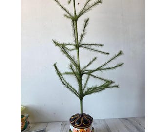 Vintage radko feather tree nutcracker glitter Xmas tabletop mini