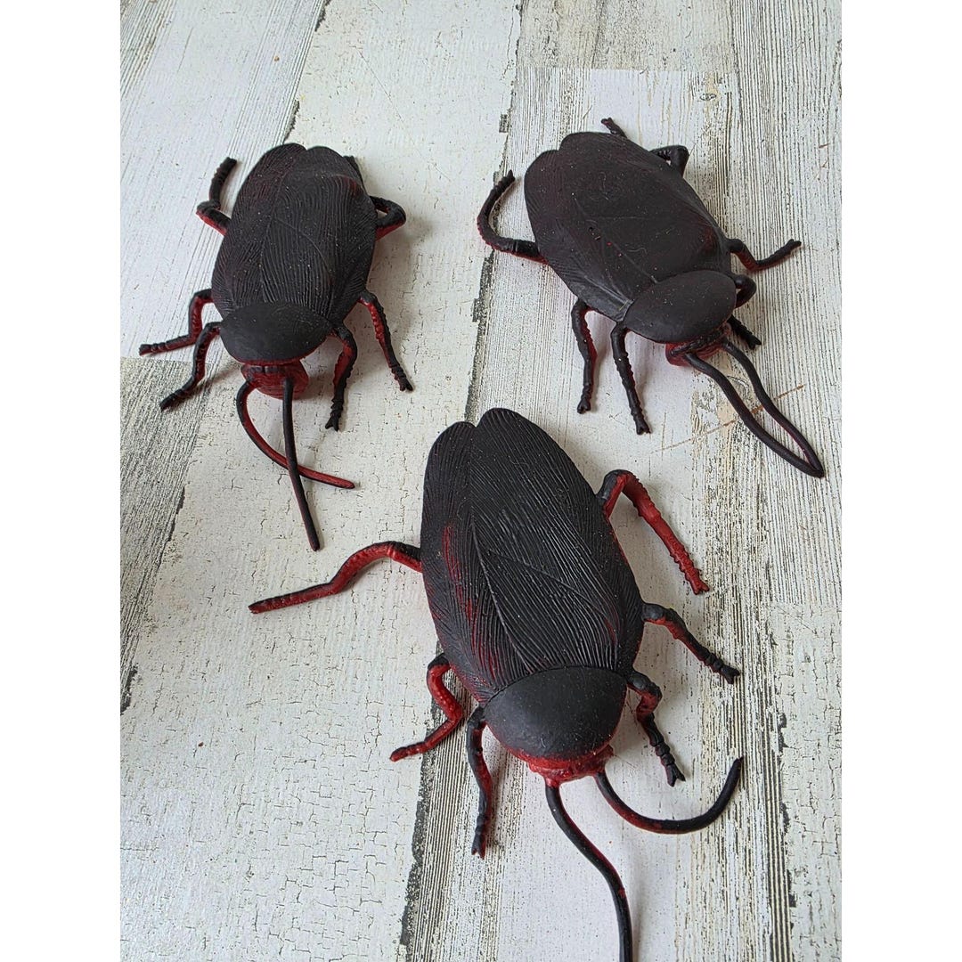 Vintage Jumbo Rubber Cockroach Halloween Insect Set Decor Lifelike ...