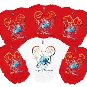 Disney Birthday Shirt, Disney Cruise Birthday Shirt,Disneyland Birthday Shirt,Cruise Birthday Squad T-shirt,Disney Birthday Party Shirt D386