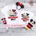 Disney Family Vacation 2022, Disney Family Trip, Disney Matching Shirts, Family Vacation Shirt, Disney Vacation Shirt, Personalized Tee D172 