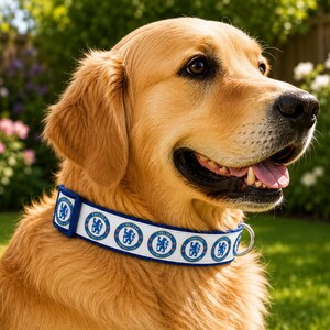 Chelsea Dog Collar | Adjustable Handmade Dog Collar for Small Medium Large Dogs | Colourful Pet Collar 画像 3