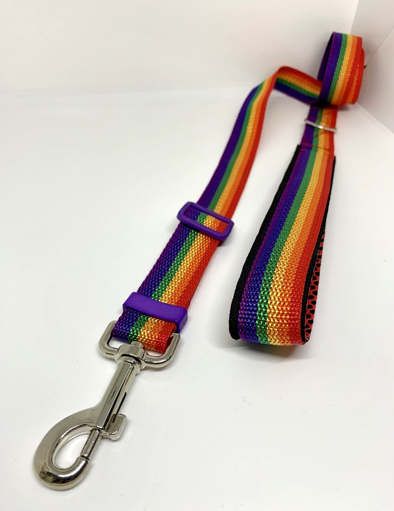 May include: A rainbow-striped dog leash featuring a durable nylon webbing strap with vibrant red, orange, yellow, green, blue, and purple colors. It includes a silver-toned metal swivel snap hook, a purple plastic adjustment slider, and a padded handle.