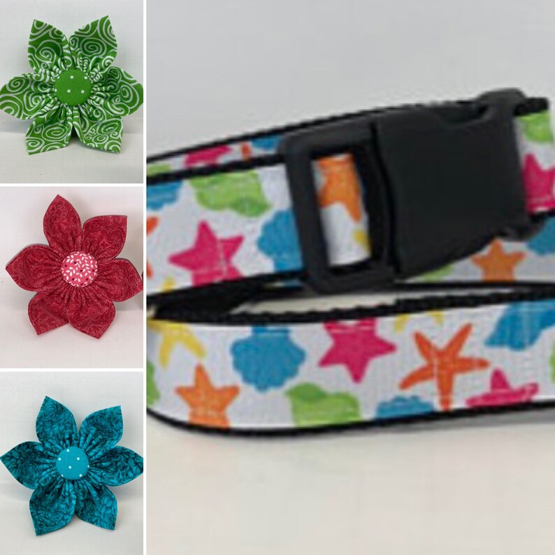 Dog Collar Seashells