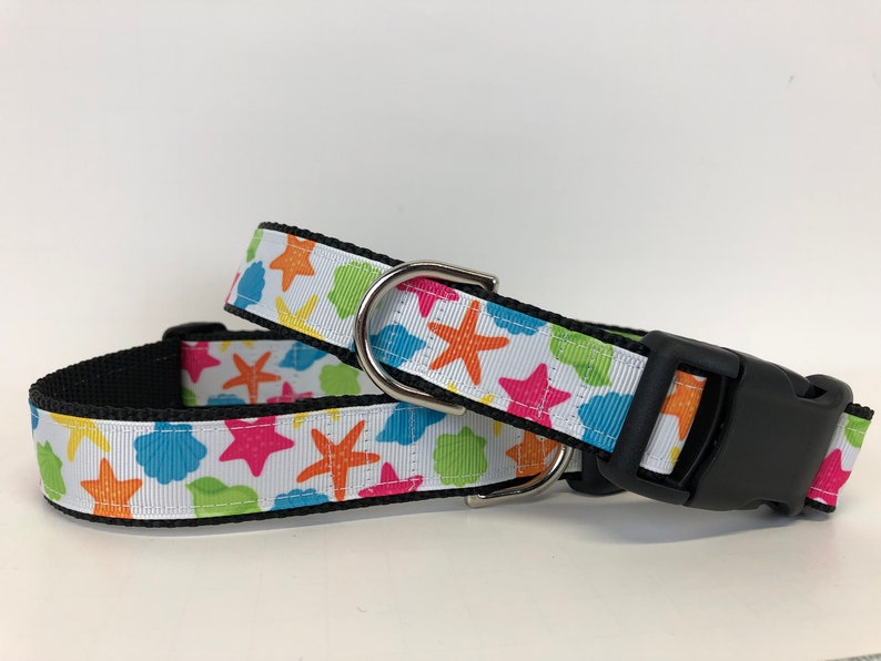 Dog Collar Seashells