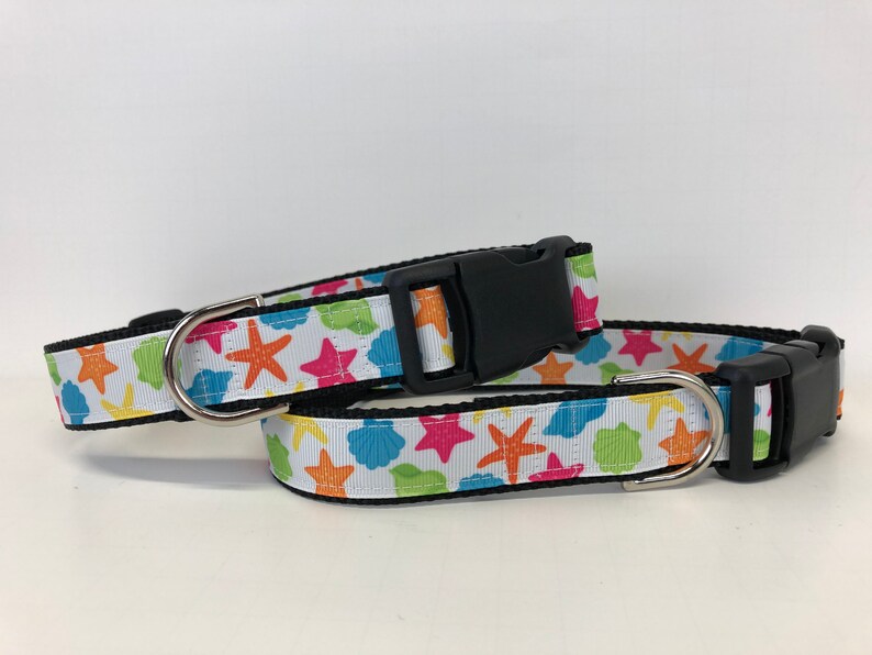 Dog Collar Seashells