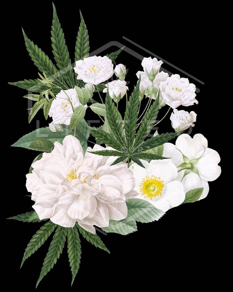 Marijuana Wall Art, Plant Lady Wall Art, Stoner Girl, Floral Home Decor