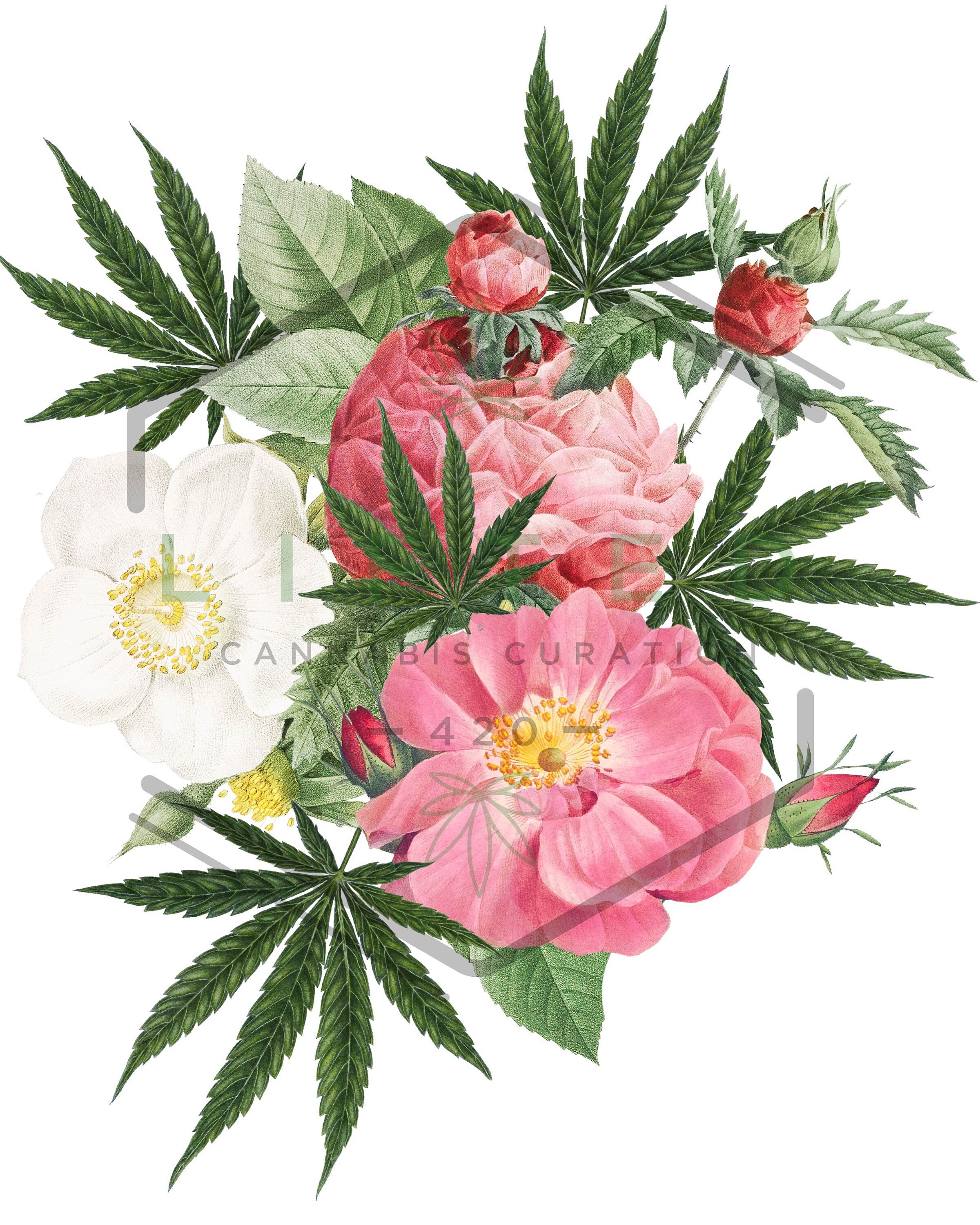 Smoke Room Decor Aesthetic, Cannabis Wall Decor, Marijuana Digital Print, Cannabis Wall Art ...