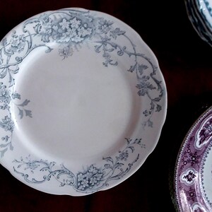 Floral Collector Plate: Pale Blue Gray Porcelain, Royale Pitcairns Tunstall
