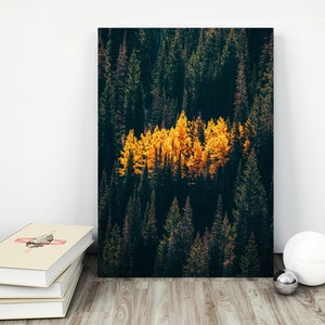 Utah fall 2021. Cedar City Fall. Alpine Loop. Dixie Forest, Autumn Utah Photo Print, Photo Art and Canveses. Northern Utah Fall