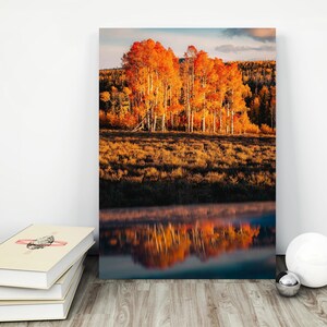 Utah Herbst 2021. Zedernstadt Herbst. Alpiner Loop. Dixie Forest, Herbst Utah Fotodruck, Fotokunst und Canveses. Nördlicher Utah Herbst