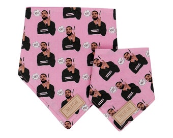 drake dog bandana