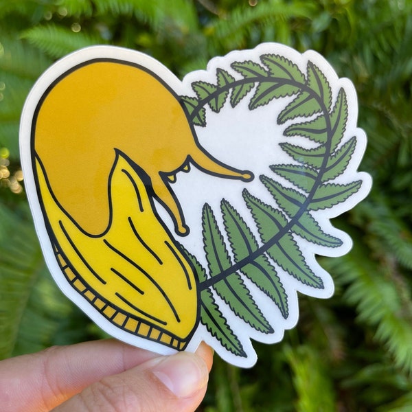Banana Slug and Fern Vinyl Sticker | Redwood National Park | Car Sticker | Redwood Lover | Banana Slug | Humboldt County