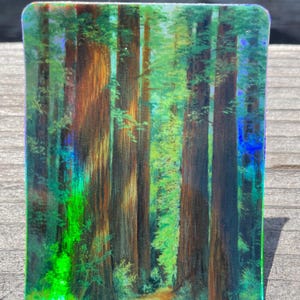 May include: A rectangular art print featuring a forest scene with tall redwood trees. The image has a holographic effect, with green and blue iridescent colors overlaying the brown and green tones of the trees and foliage. A path leads into the distance.