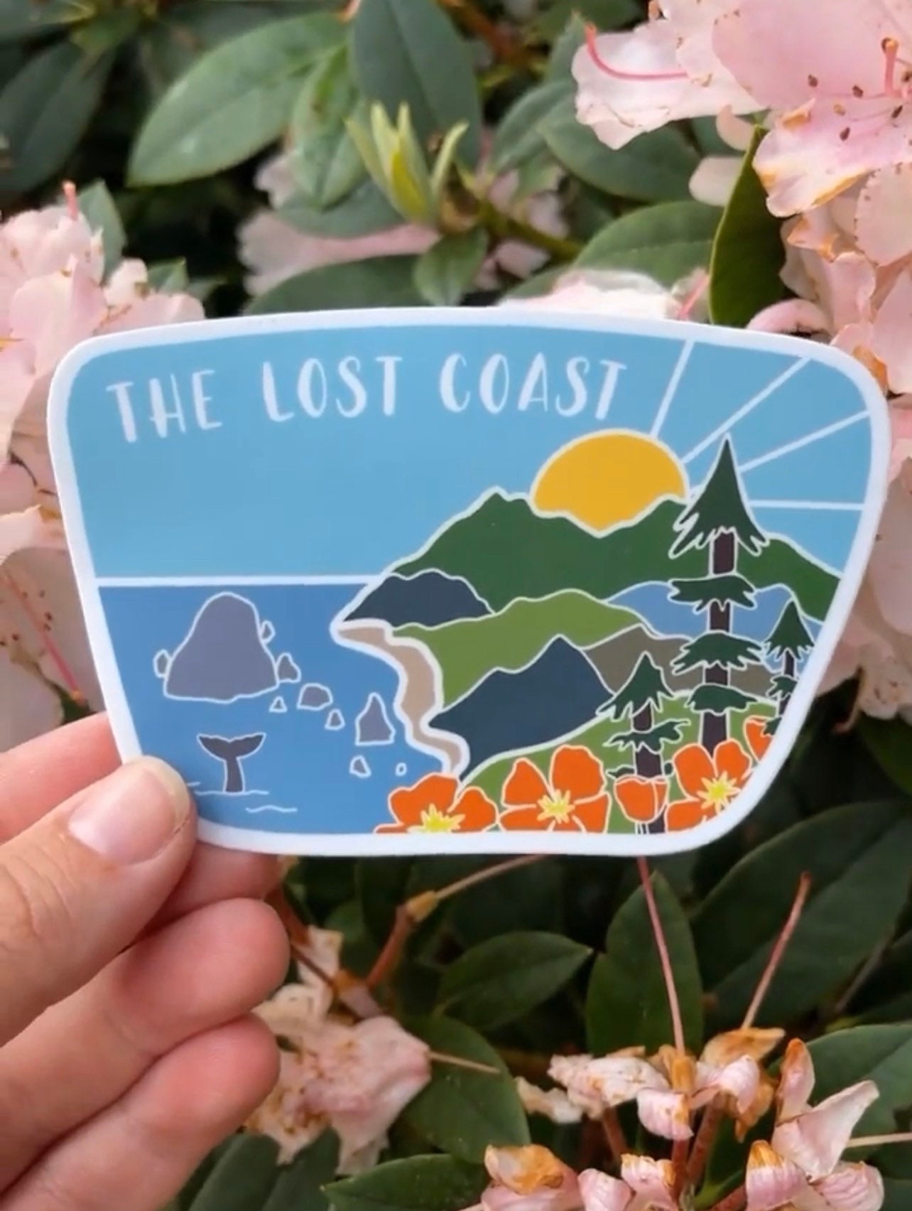 The Lost Coast Vinyl Sticker Weatherproof Water Bottle Sticker
