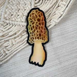 Puede incluir: Una pegatina de seta morchella amarilla y marrón con contorno negro.