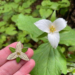 White Trillium Hard Enamel Pin | Lapel Pin | Badge | Redwood Forest Flowers | CA wildflowers