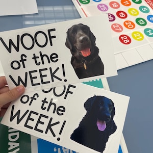 Autocollants pour tableau blanc Woof of the Week | Idées de classe pour les amoureux des chiens | Tableau blanc pour salle de classe image 7