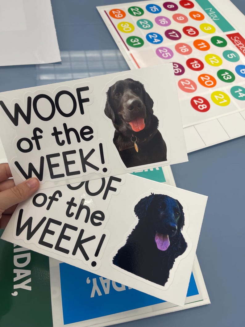 Autocollants pour tableau blanc Woof of the Week | Idées de classe pour les amoureux des chiens | Tableau blanc pour salle de classe image 7