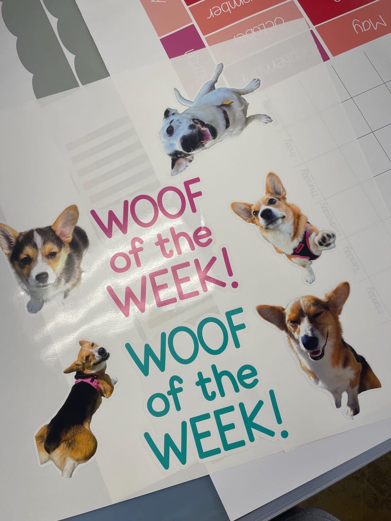Autocollants pour tableau blanc Woof of the Week | Idées de classe pour les amoureux des chiens | Tableau blanc pour salle de classe image 8