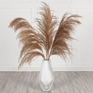 Énorme VENTE Herbe de pampa naturelle XL 120 cm de haut | Décoration de mariage bohème | Pampa beige clair | Grand arrangement de fleurs séchées extra moelleuses de la pampa