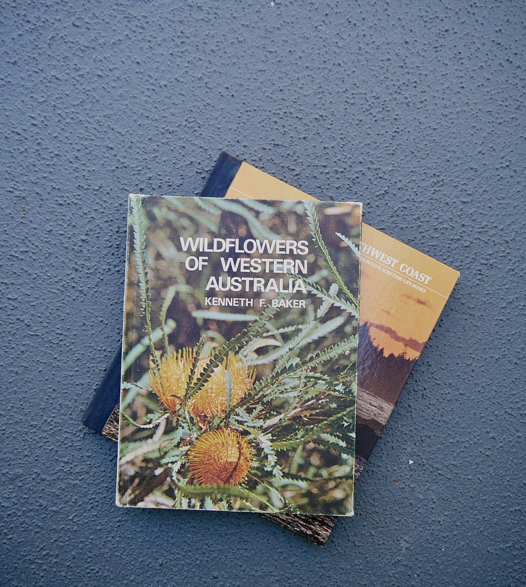 Decorative Coffee Table Books / Vintage Books / Retro Photography Books