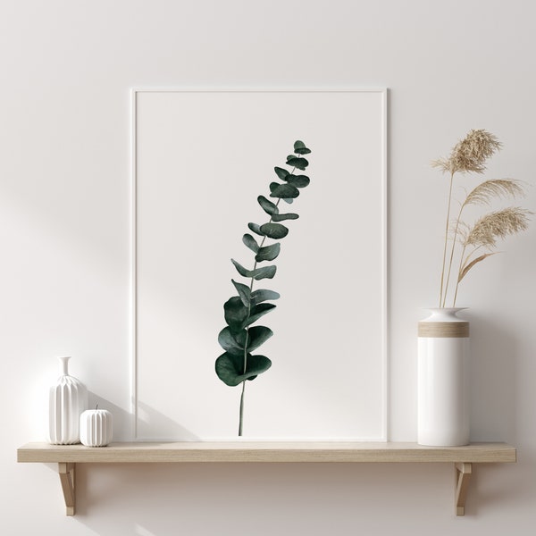 Eukalyptus Poster Eucalyptus Print Botanical