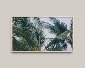 Layered | Palm tree, Hawaii Film Photography Poster, Samsung Frame TV Art, Digital Download