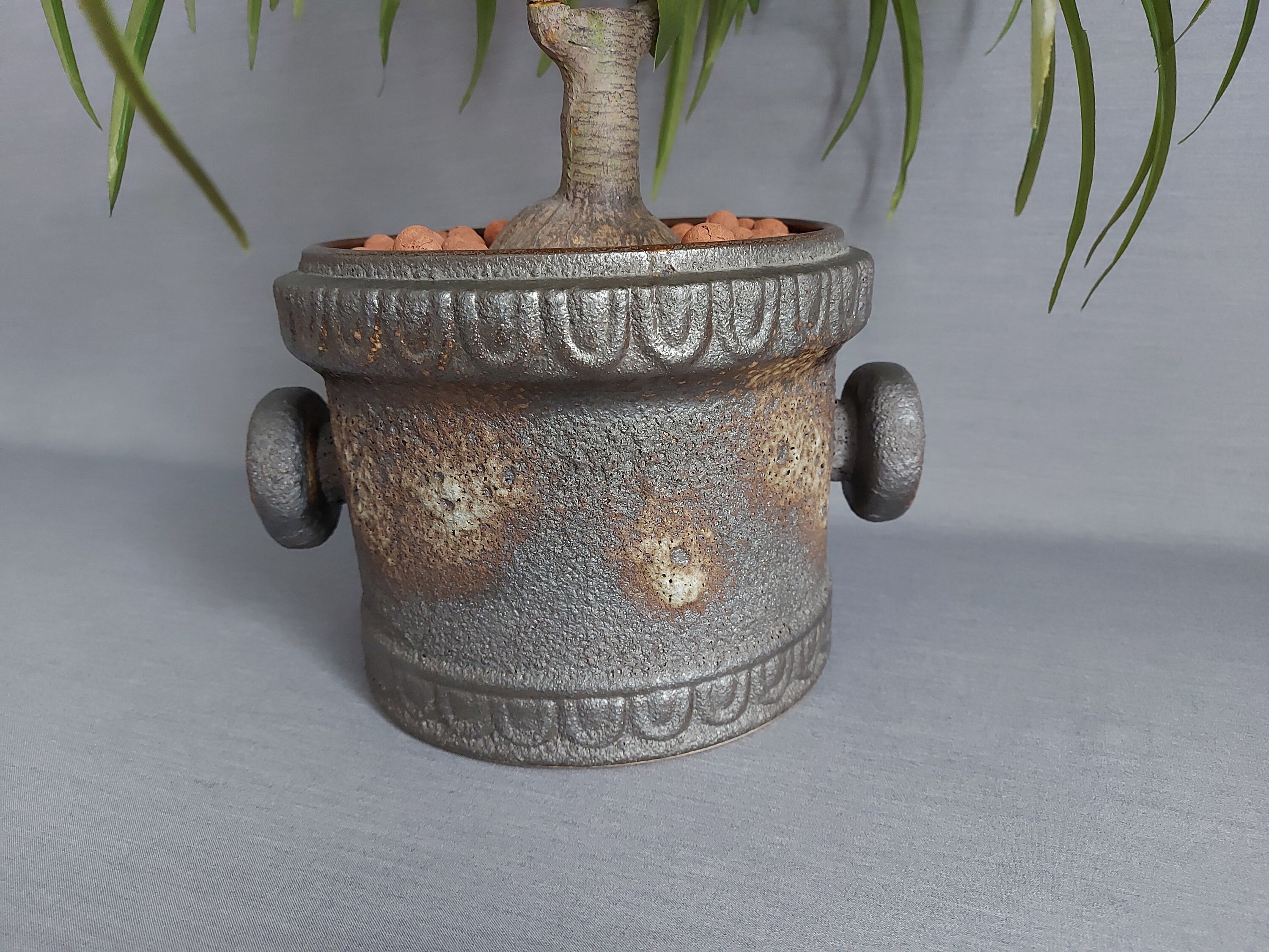 未使用小堤晶子デミタスカップとソーサーセット