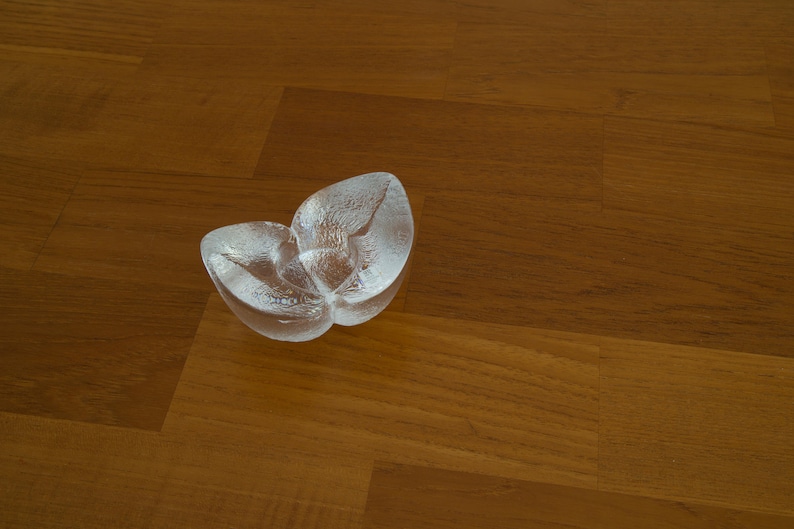 May include: A clear glass butterfly-shaped dish with a textured surface.