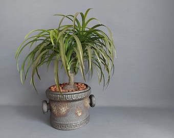 Fat Lava Blumentopf mit künstlicher Palme_Jopeko_Paris_Keramik_Vintage_Manufaktur_Übertopf_50 cm_19.68 in_#000276