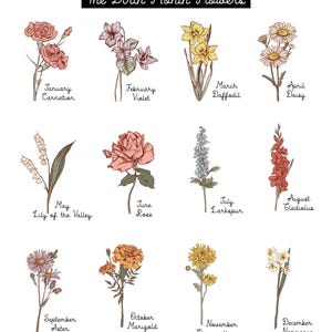May include: An illustrated chart titled "The Birth Month Flowers" features twelve different flowers, each representing a month. The flowers include carnations, violets, daffodils, daisies, lily of the valley, roses, larkspur, gladiolus, asters, marigolds, chrysanthemums, and narcissus.