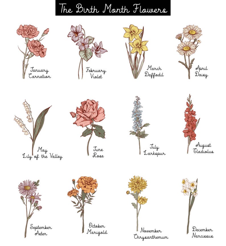 May include: An illustrated chart titled "The Birth Month Flowers" features twelve different flowers, each representing a month. The flowers include carnations, violets, daffodils, daisies, lily of the valley, roses, larkspur, gladiolus, asters, marigolds, chrysanthemums, and narcissus.