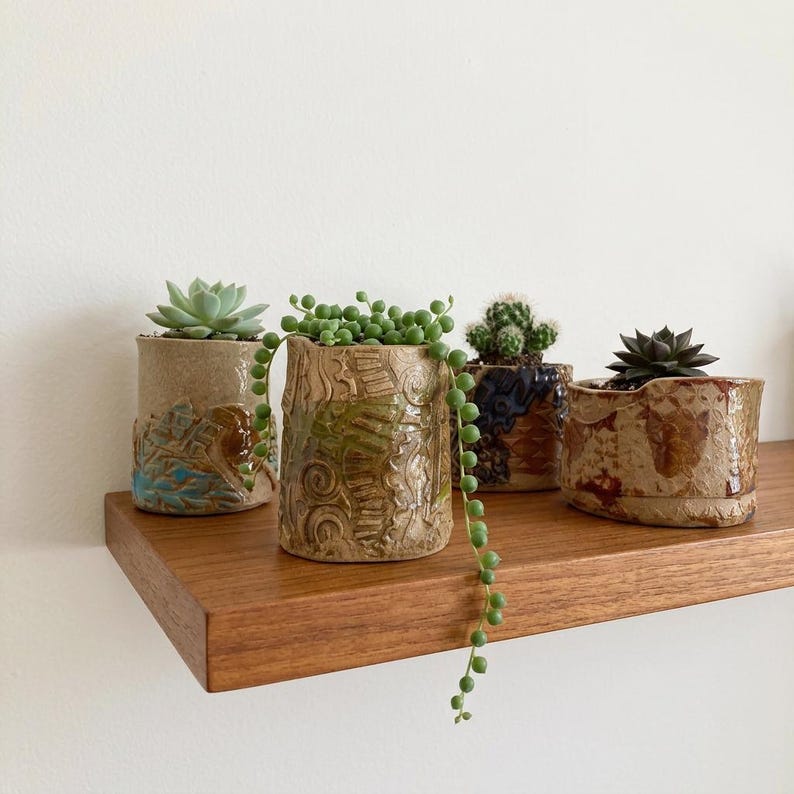 May include: Four ceramic planters with textured surfaces and unique glaze patterns, each containing a different succulent plant. The planters are arranged in a row, featuring earthy tones of brown, tan, and green, with one trailing string of pearls.