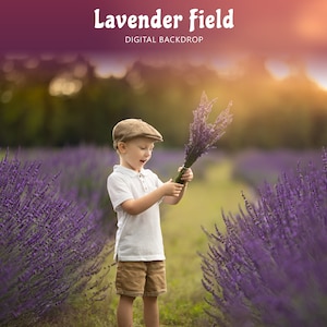 Lavender Field Backdrop, Digital Purple Flower Scene