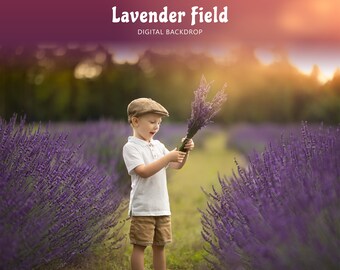 Fondo de campo de lavanda, escena digital de flores púrpuras