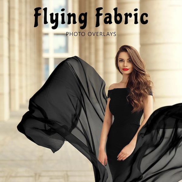 Flying Fabric Overlay, Black Sheer Dress