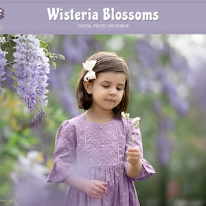 Purple Wisteria Flower Background for Spring