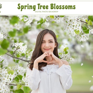 Spring Tree Blossom, Blooming Flower Branch & Layered Photoshop Background