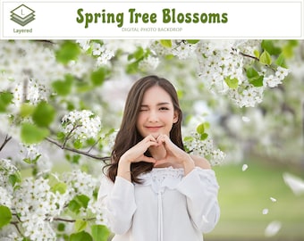 Spring Tree Blossom, Blooming Flower Branch & Layered Photoshop Background