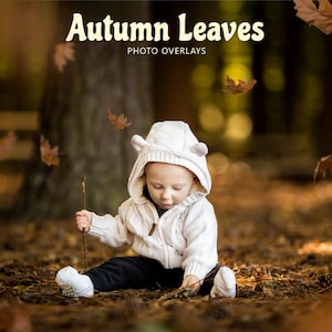 50 Realistic Falling Leaf Overlays, Brown