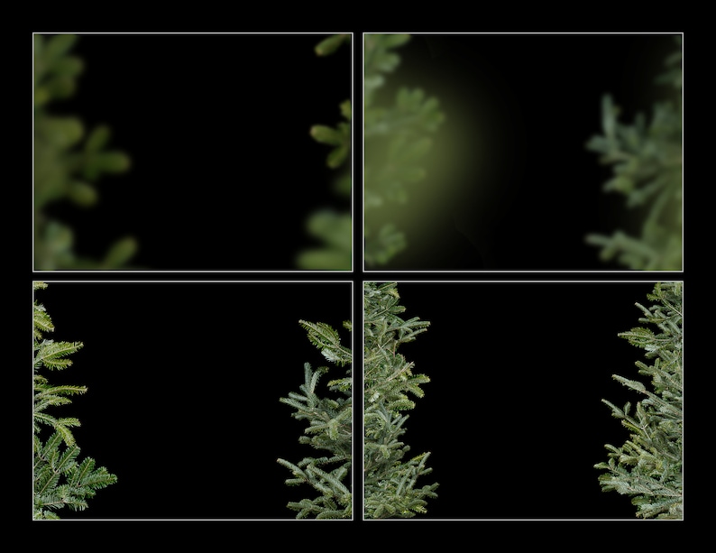 25 Pine Tree Branch Overlays, Christmas Tree Shoot Throughs image 6