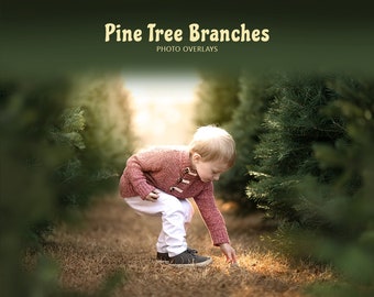 25 Pine Tree Branch Overlays, Christmas Tree Shoot Throughs