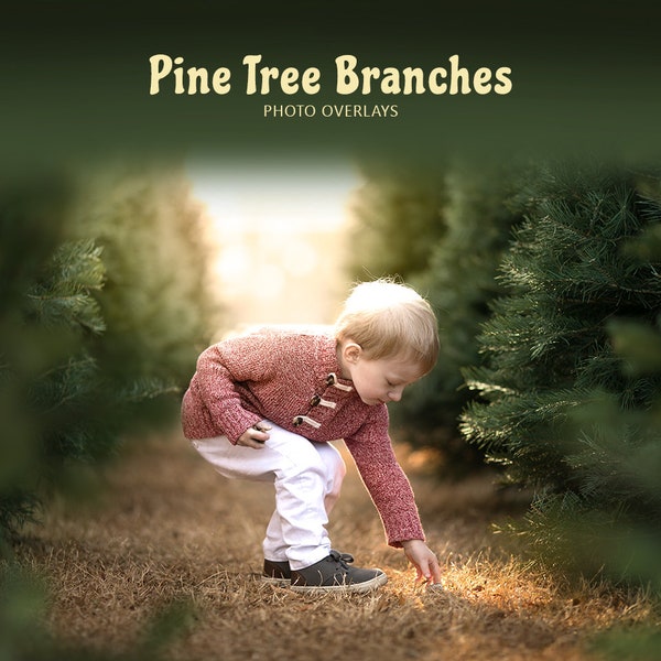 25 superpositions de branches de pin, pousses d’arbres de Noël