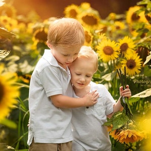 30 Sunflower Overlays and Backdrops