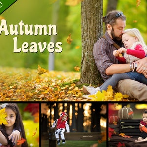 150 Shoot Through Leaves Overlay Bundle, Falling Autumn Leaves