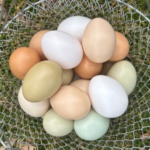 2 Dozen Farm Fresh Eggs - Rainbow, Blue/Green, Brown, White Eggs