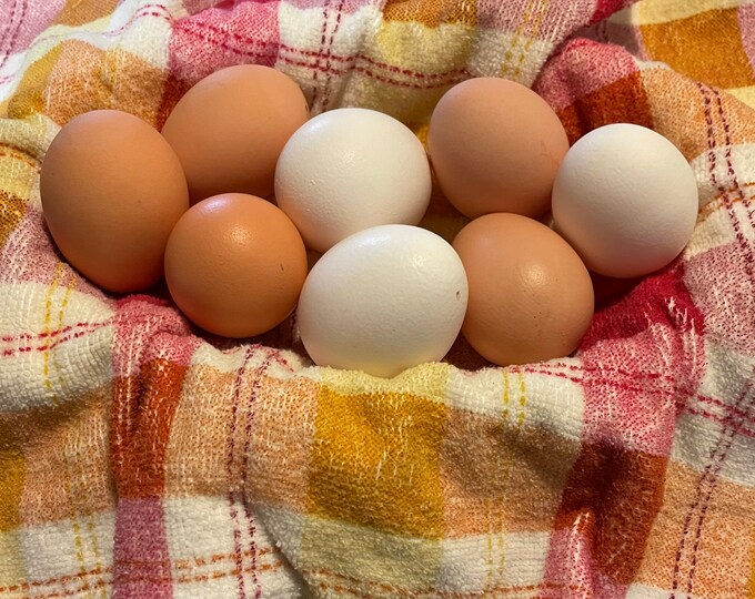 4 Dozen Farm Fresh Eggs Etsy