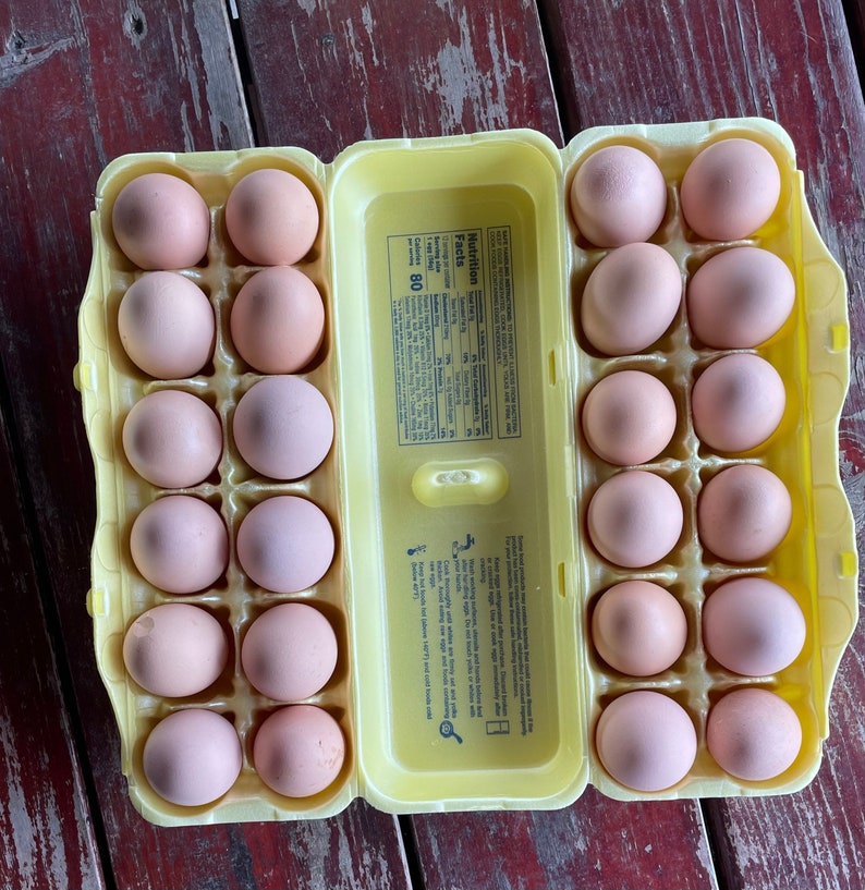 4 Dozen Farm Fresh Eggs Etsy