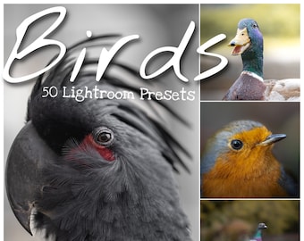 Lightroom Birds Presets
